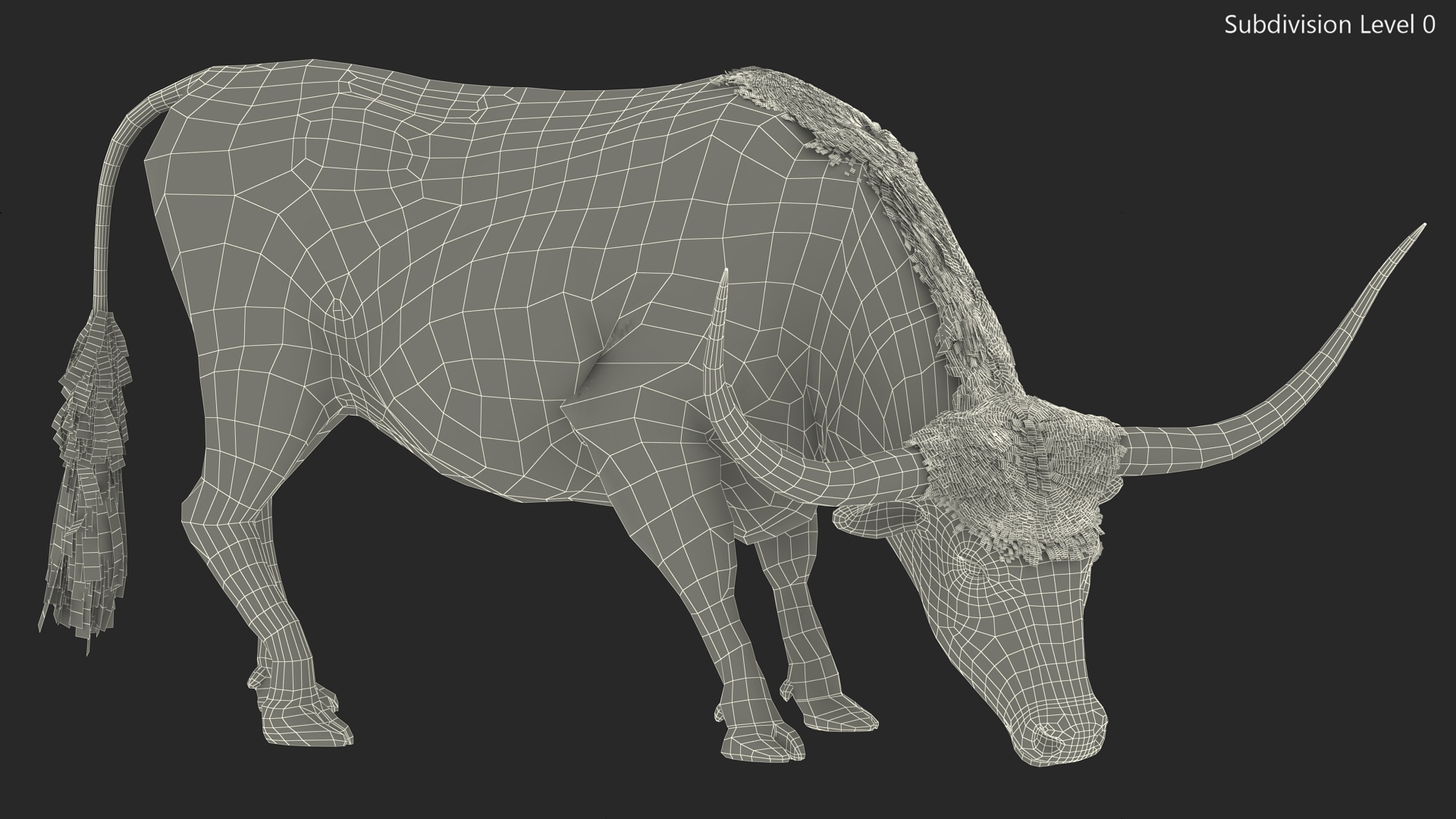 Texas Longhorn Cattle White Color Fur 3D