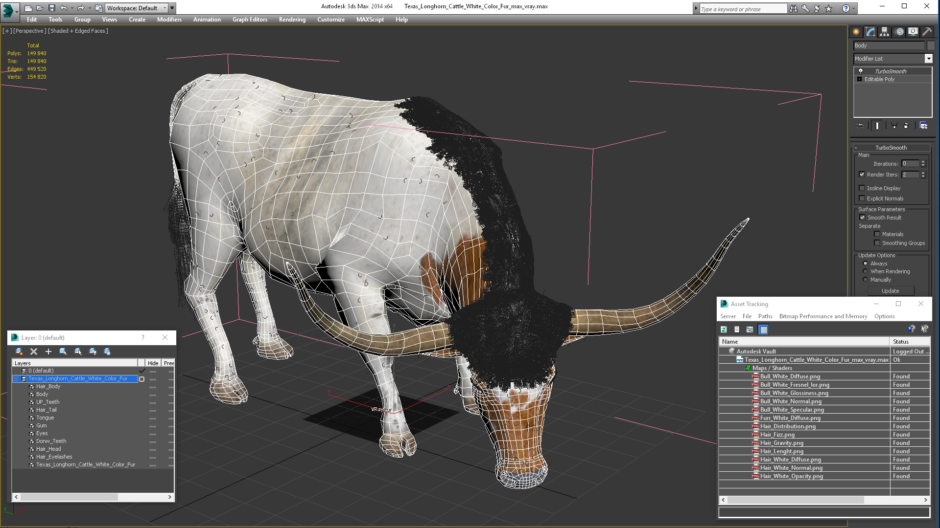 Texas Longhorn Cattle White Color Fur 3D