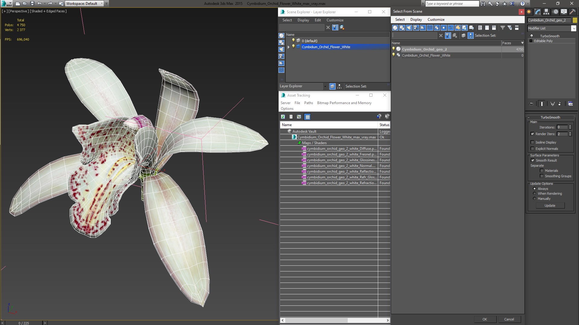 Cymbidium Orchid Flower White 3D model