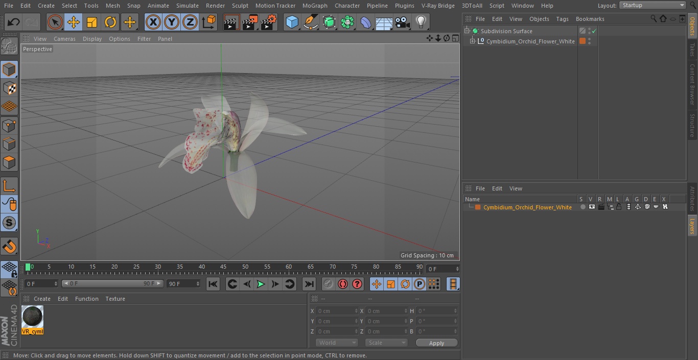 Cymbidium Orchid Flower White 3D model