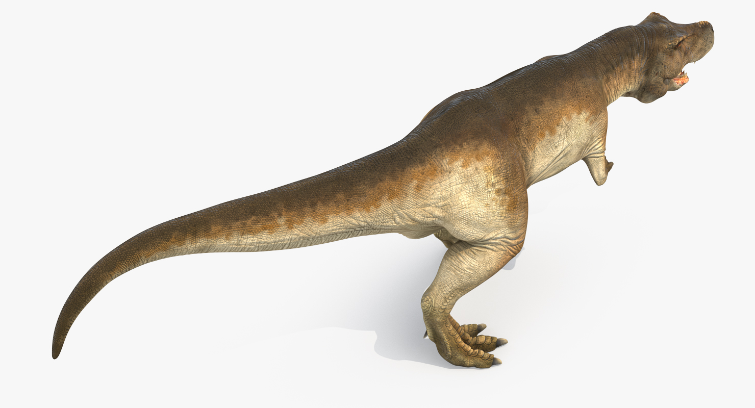 3D model Tyrannosaurus Rex Walking