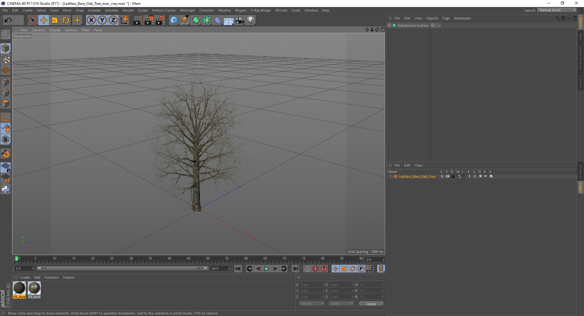 Leafless Bare Oak Tree 3D