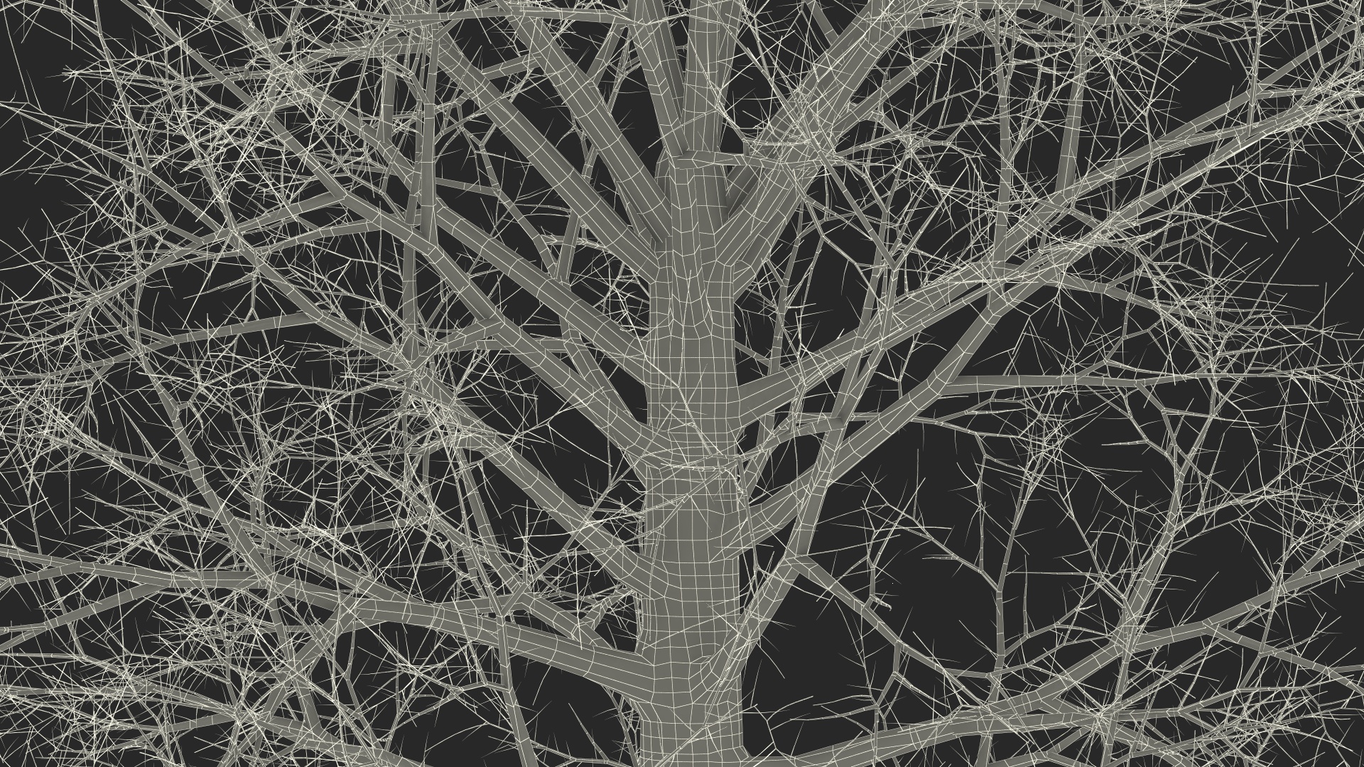 Leafless Bare Oak Tree 3D
