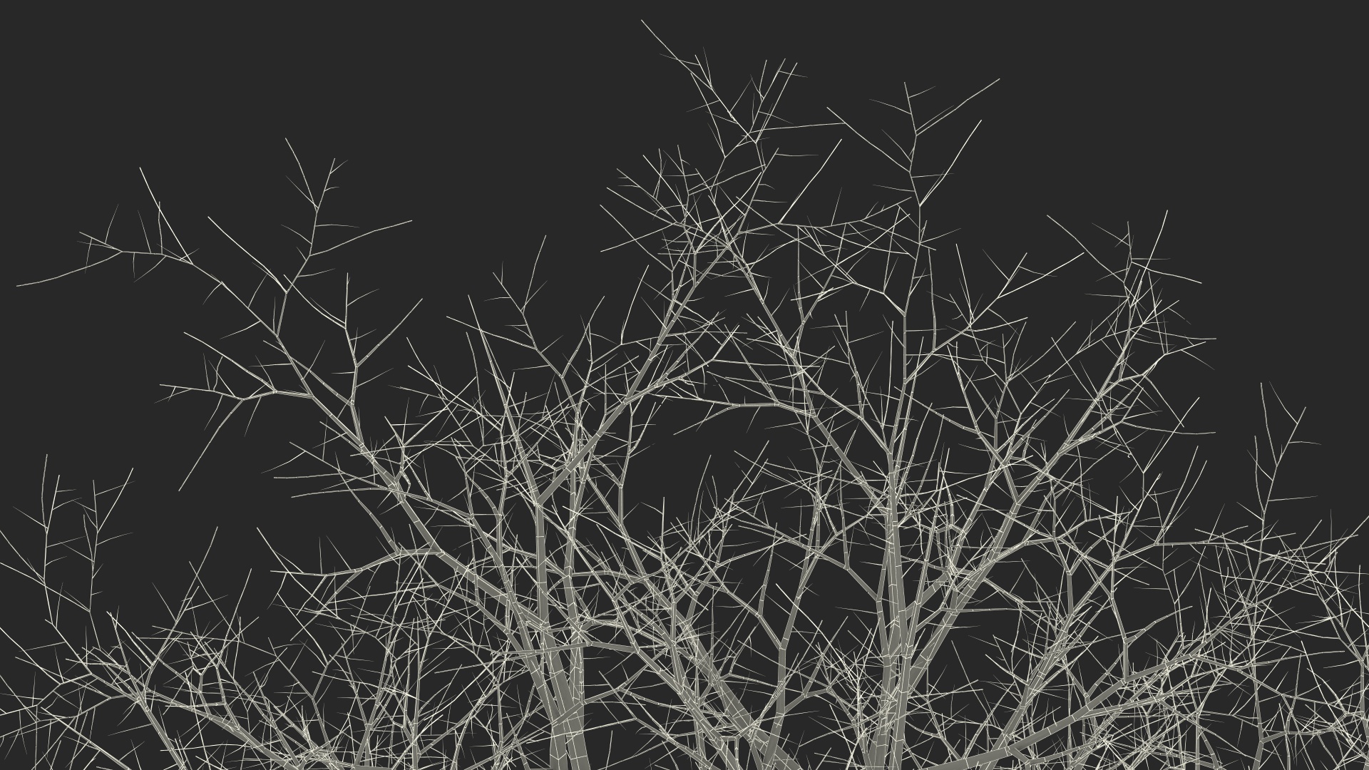 Leafless Bare Oak Tree 3D