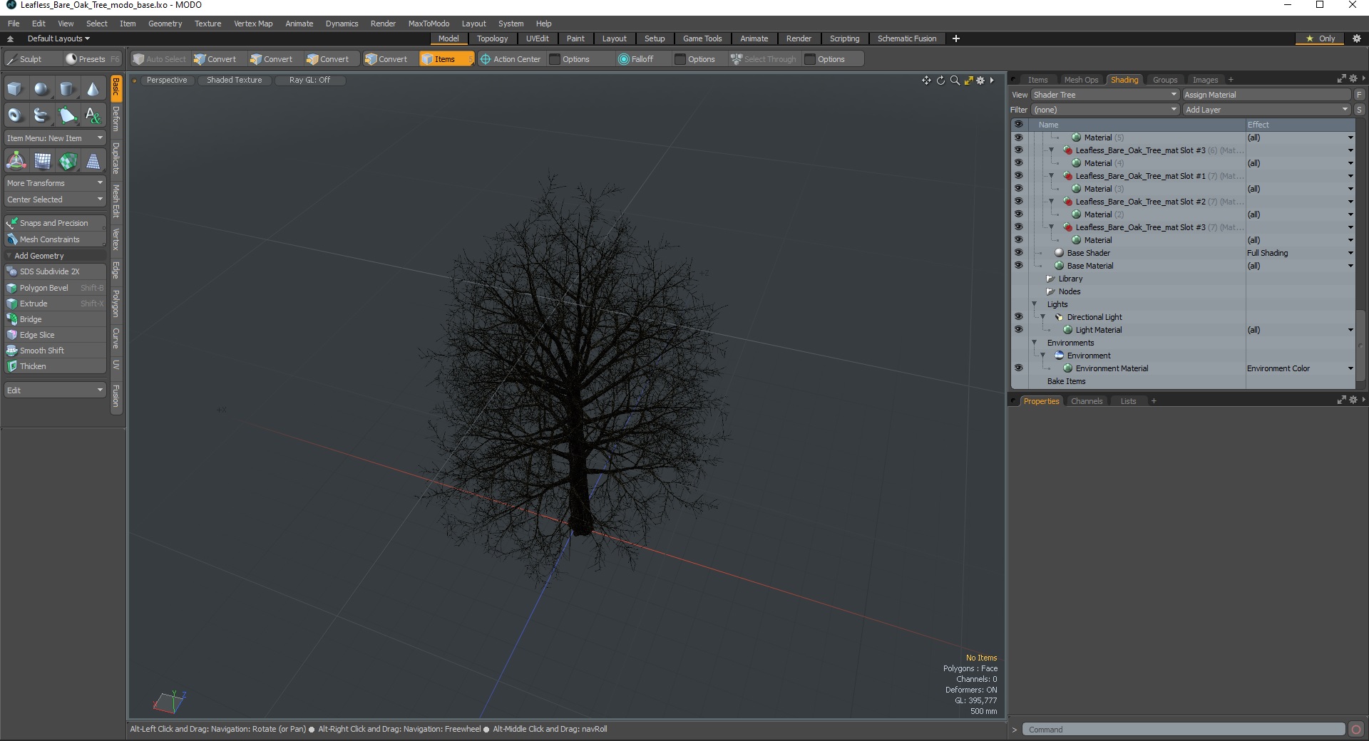 Leafless Bare Oak Tree 3D