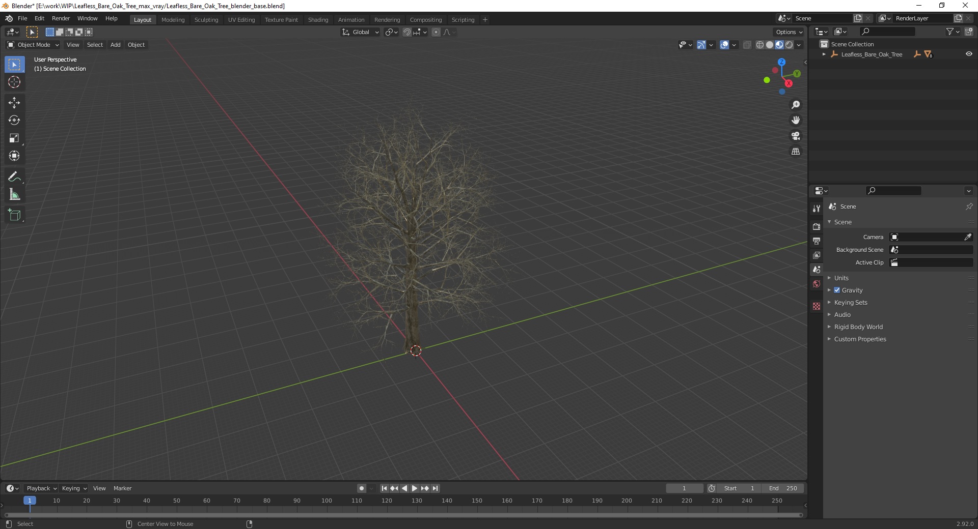 Leafless Bare Oak Tree 3D