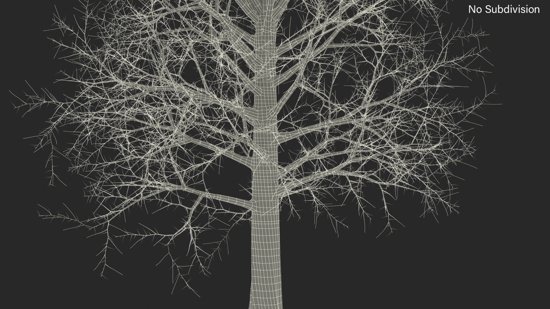 Leafless Bare Oak Tree 3D
