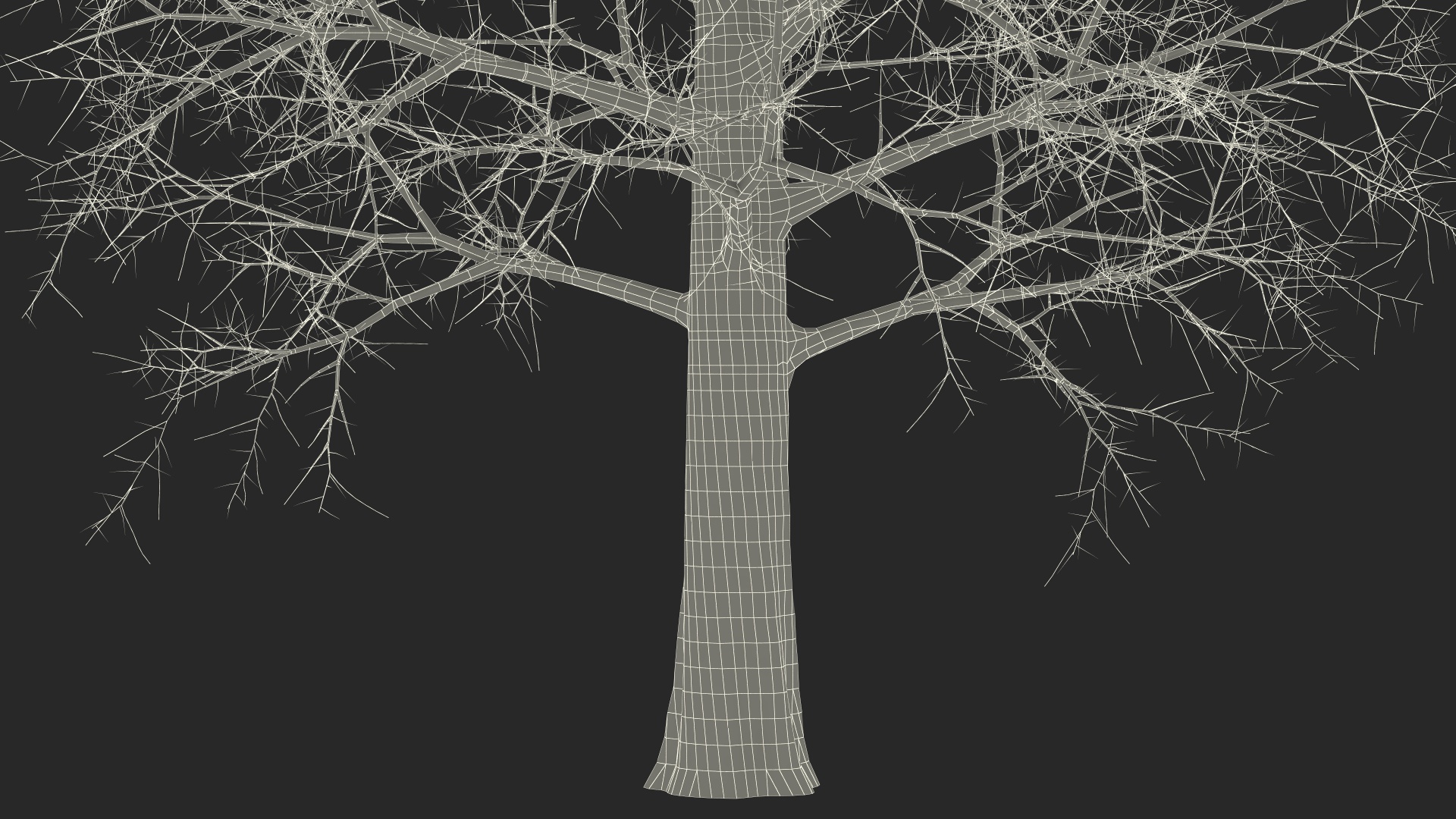 Leafless Bare Oak Tree 3D