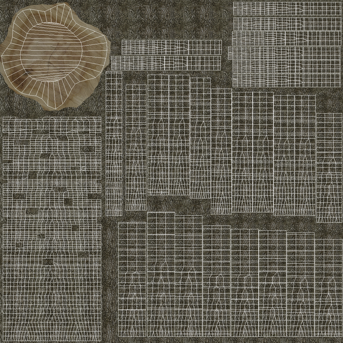 Leafless Bare Oak Tree 3D