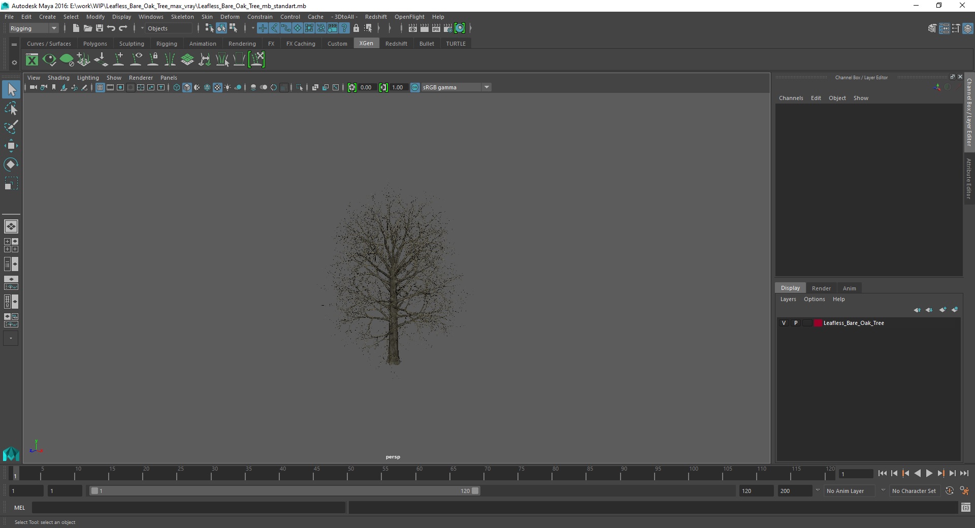 Leafless Bare Oak Tree 3D