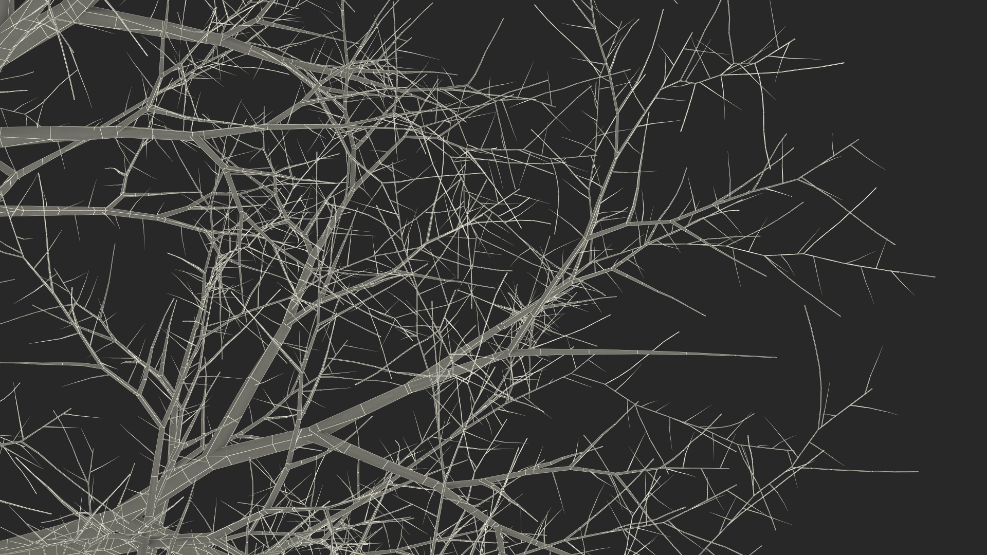 Leafless Bare Oak Tree 3D
