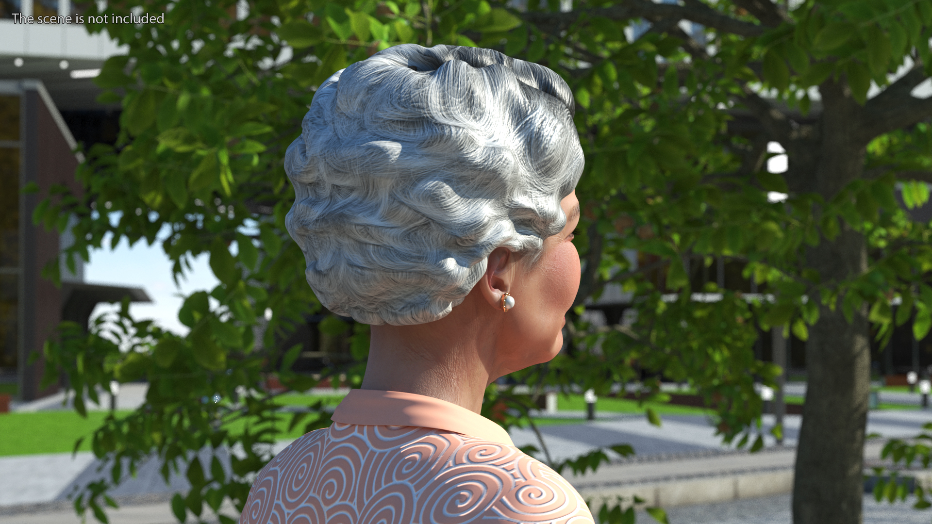 3D Chinese Grandma Everyday Style Walking model