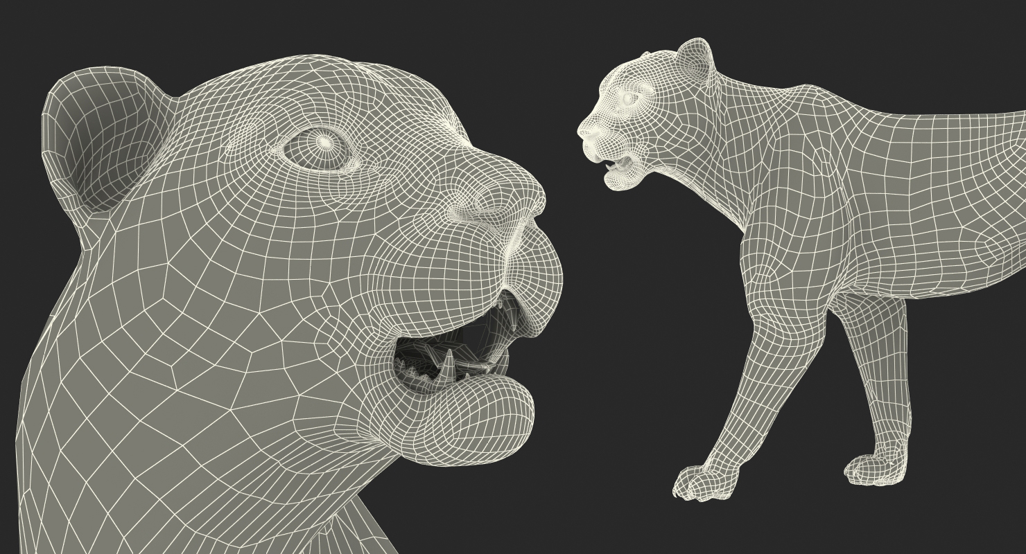 Snow Leopard Walking Pose with Fur 3D model