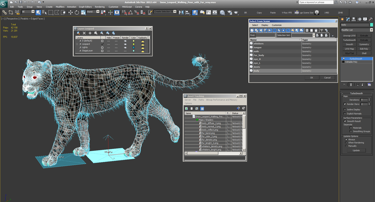 Snow Leopard Walking Pose with Fur 3D model