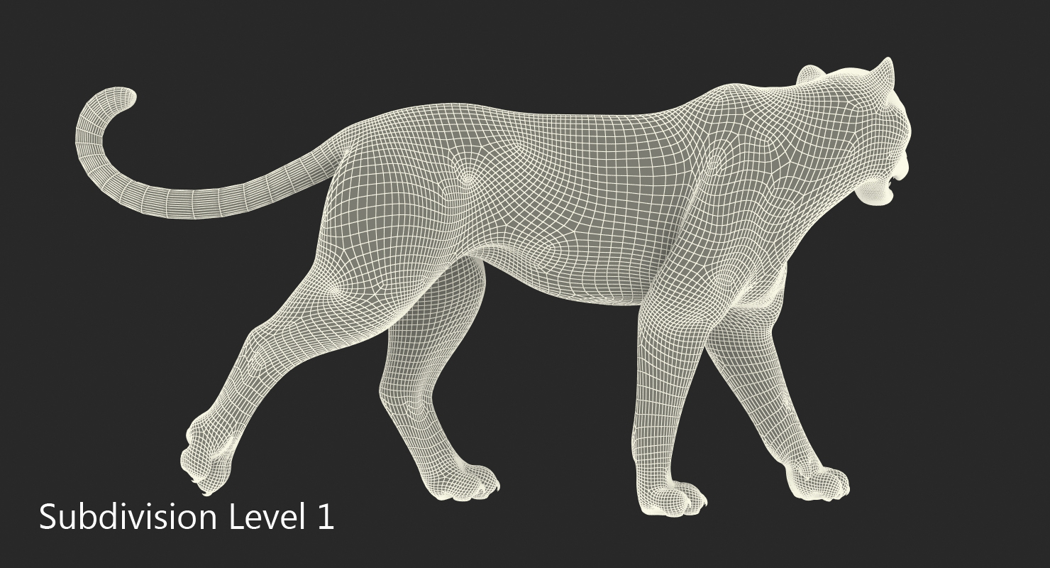 Snow Leopard Walking Pose with Fur 3D model