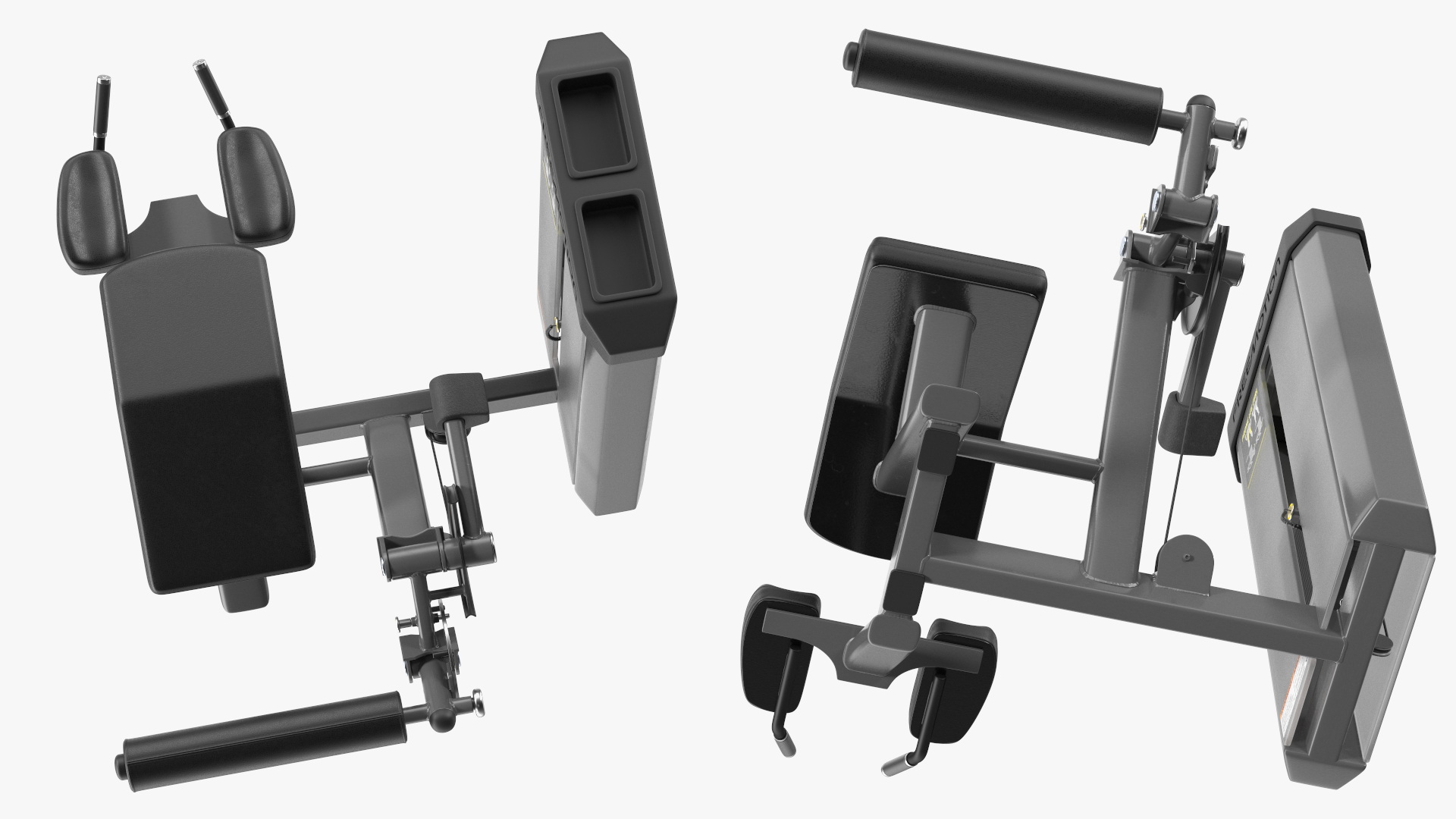 Grey Prone Leg Curl Trainer Freemotion Rigged for Cinema 4D 3D model