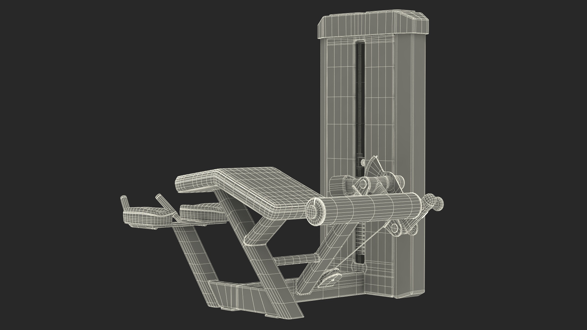Grey Prone Leg Curl Trainer Freemotion Rigged for Cinema 4D 3D model