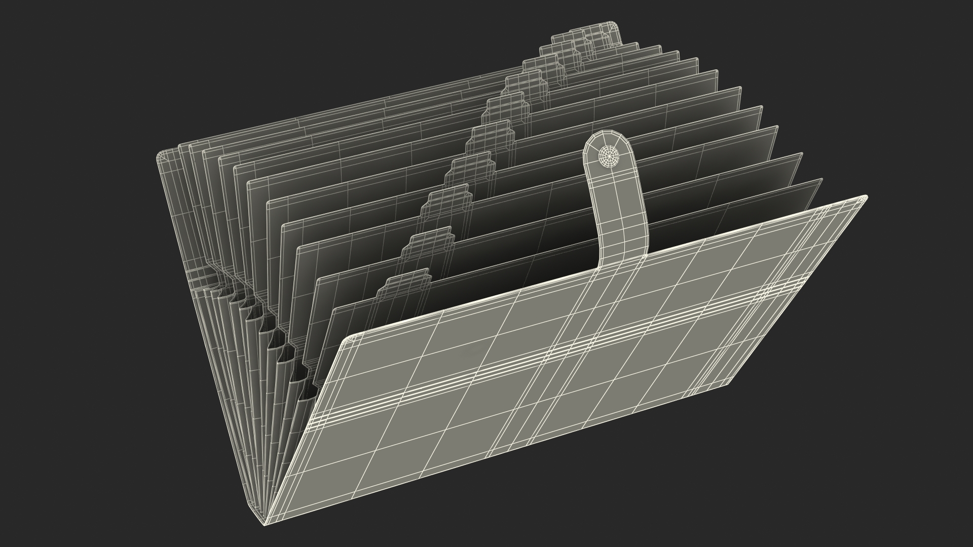 Expanding File Folder Open Black 3D