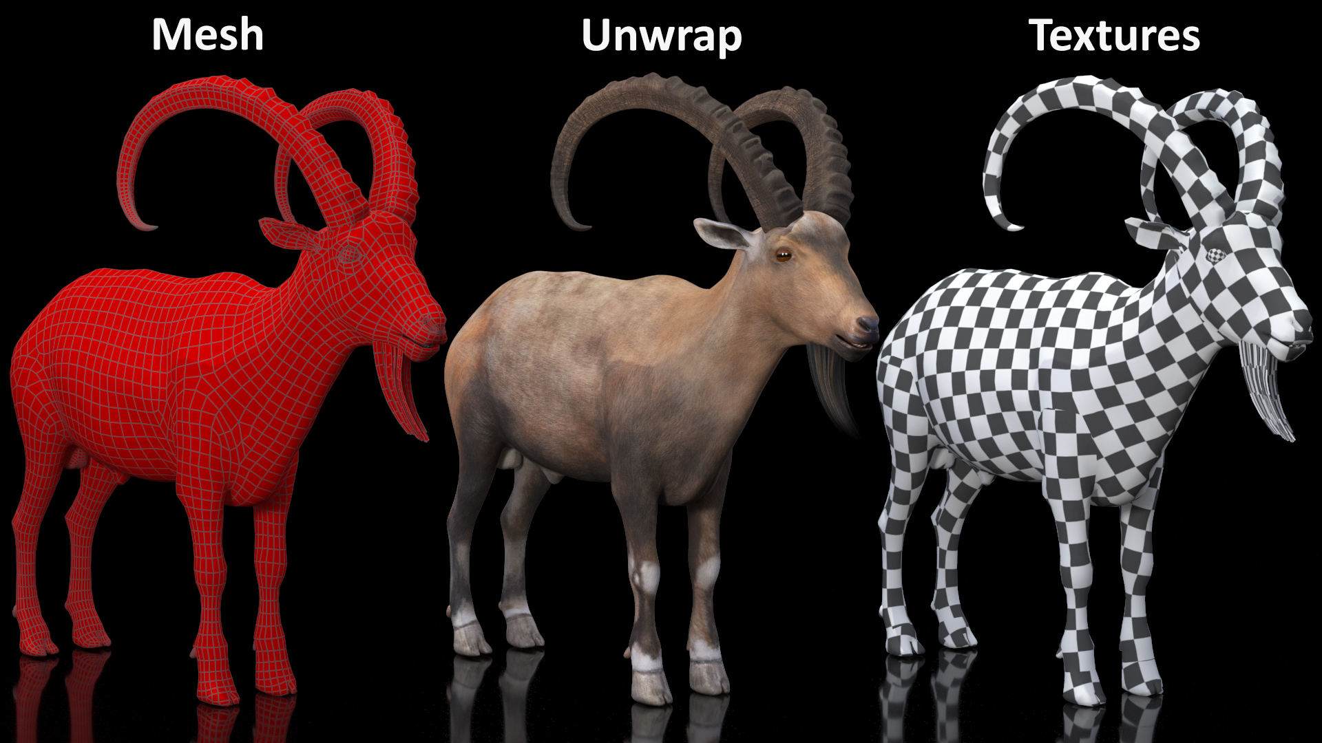 Alpine Ibex Rigged for Maya 3D