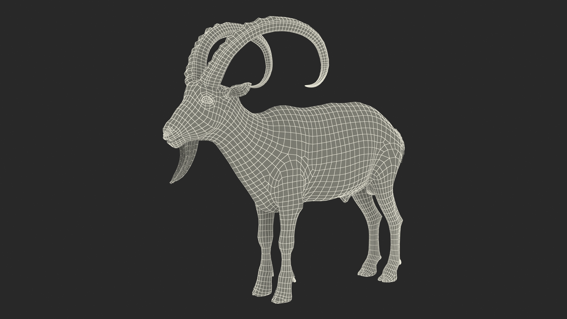 Alpine Ibex Rigged for Maya 3D