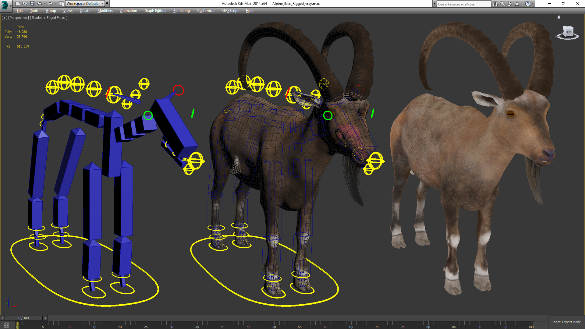 Alpine Ibex Rigged for Maya 3D