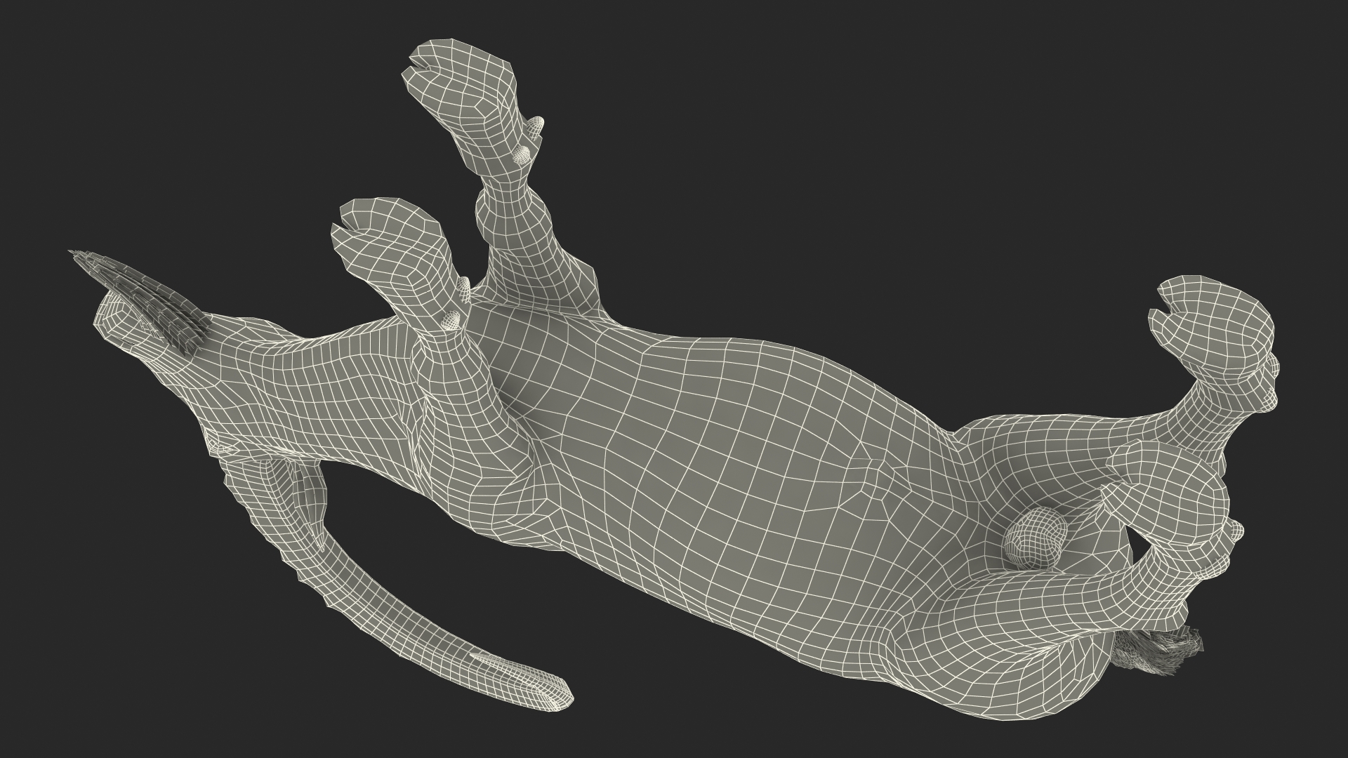 Alpine Ibex Rigged for Maya 3D