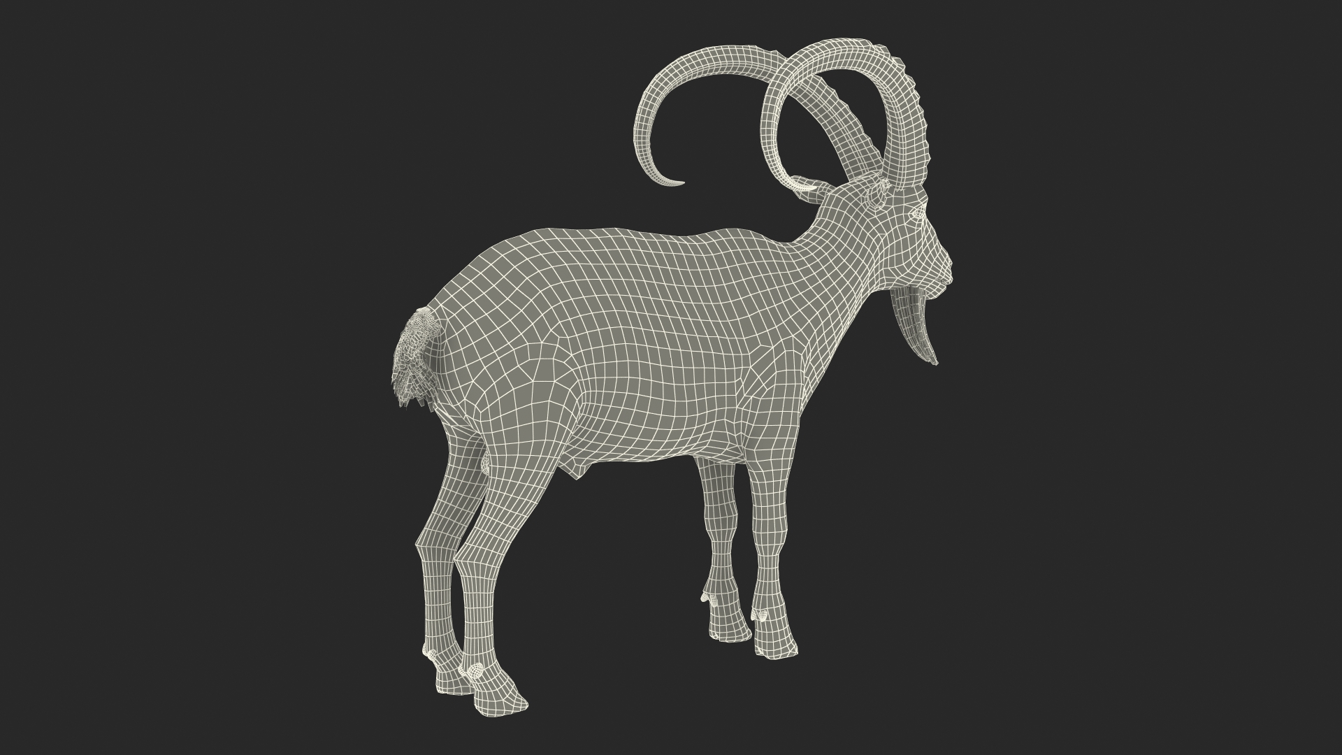 Alpine Ibex Rigged for Maya 3D