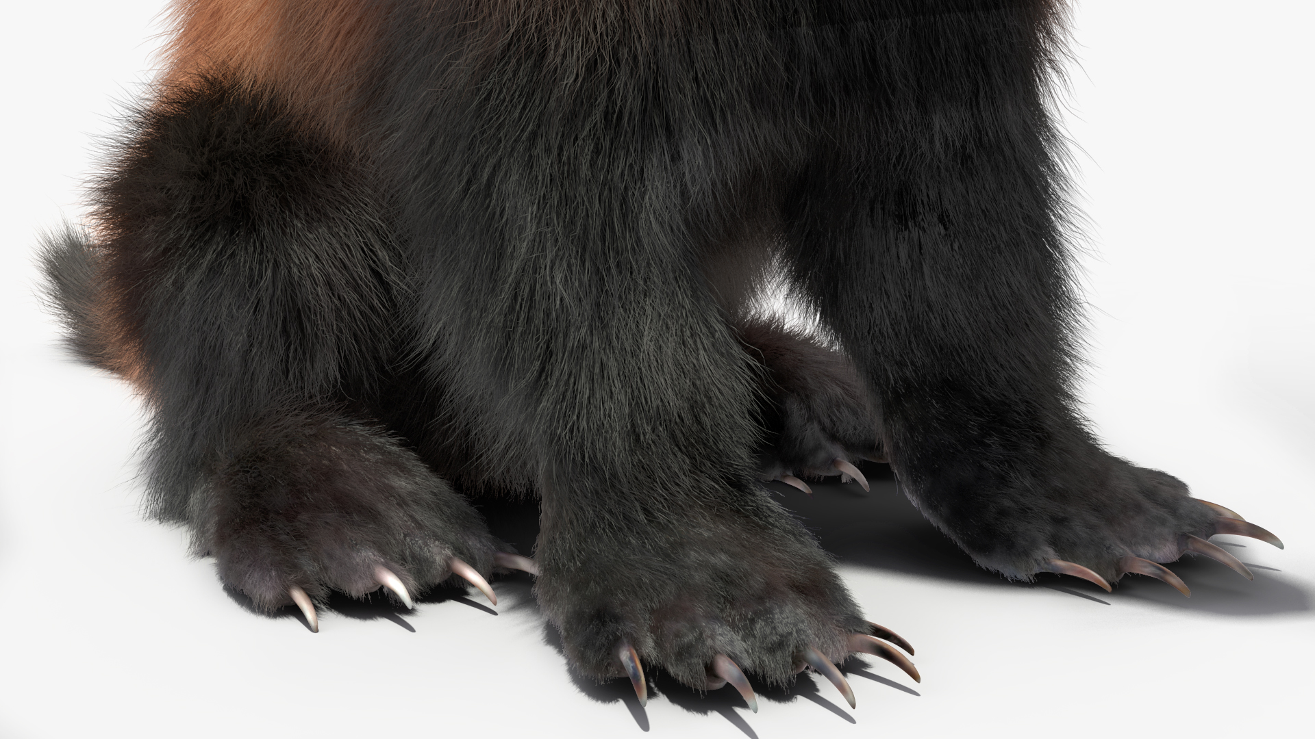 Wolverine Dark Color Sitting Pose Fur 3D
