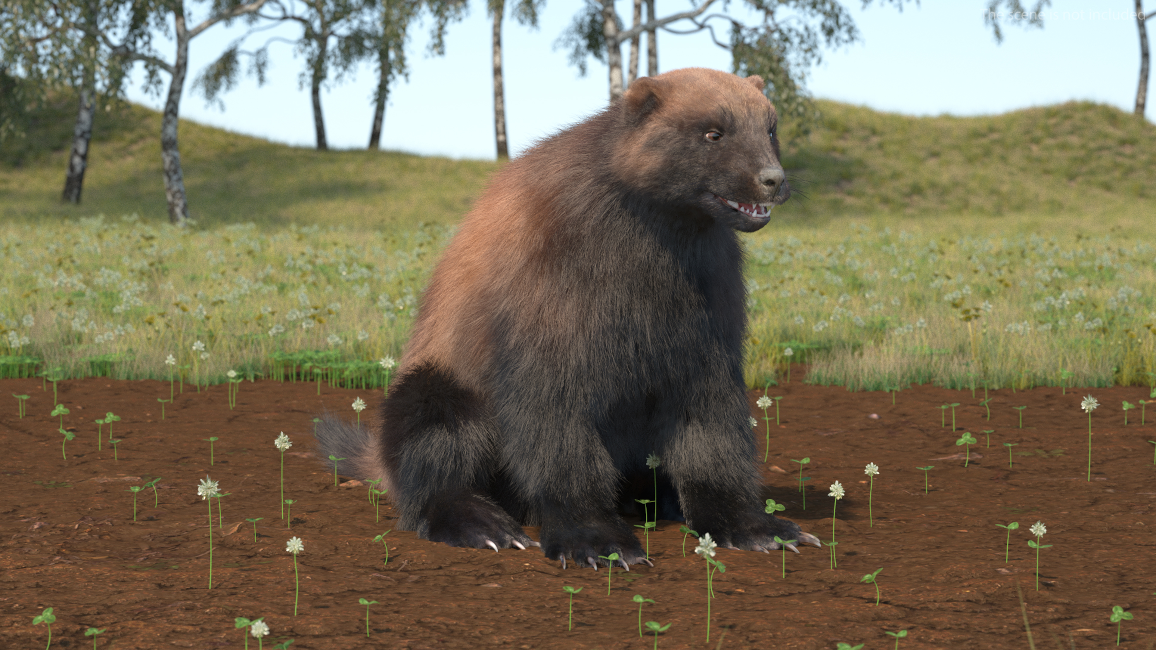 Wolverine Dark Color Sitting Pose Fur 3D