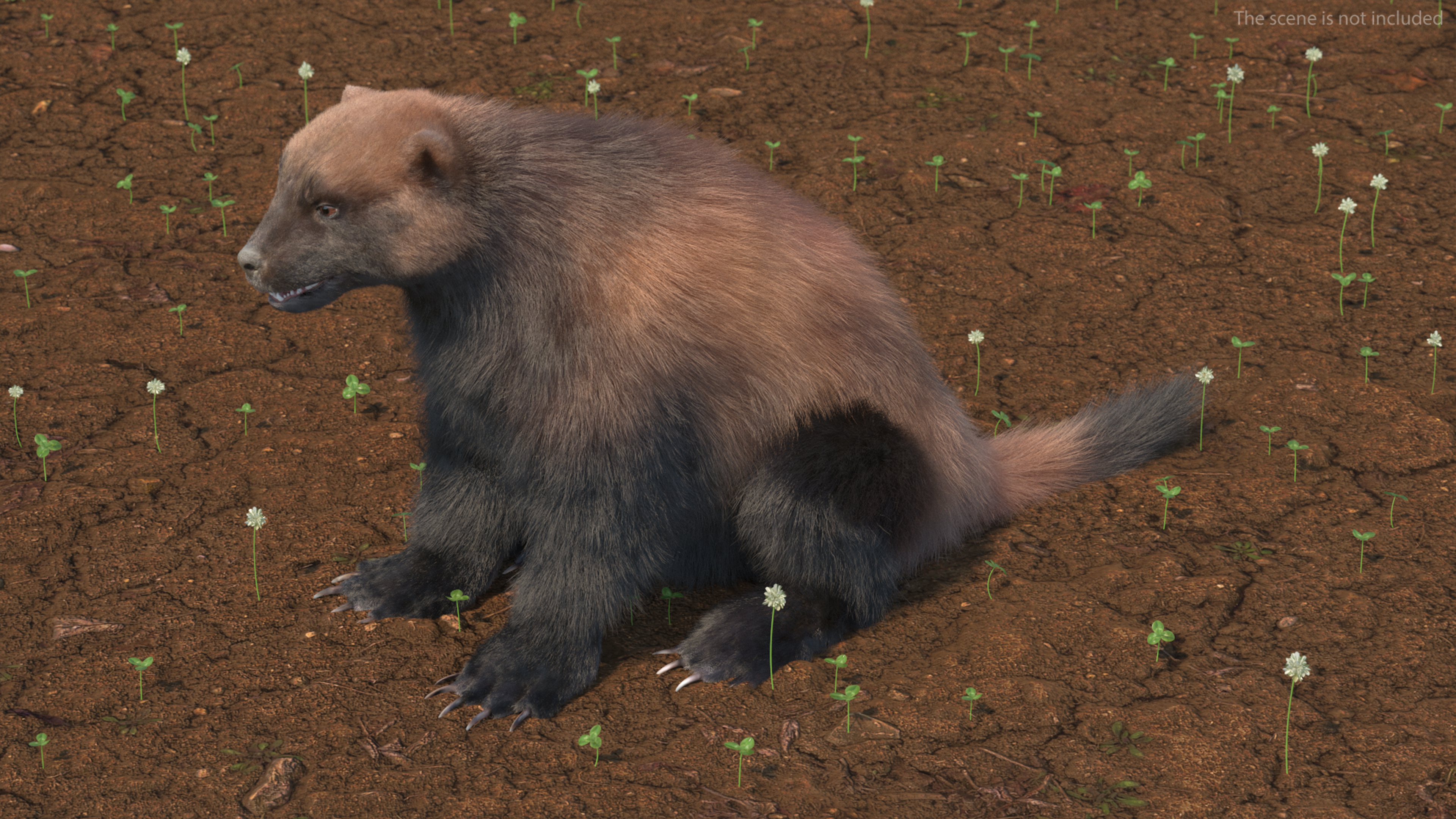 Wolverine Dark Color Sitting Pose Fur 3D