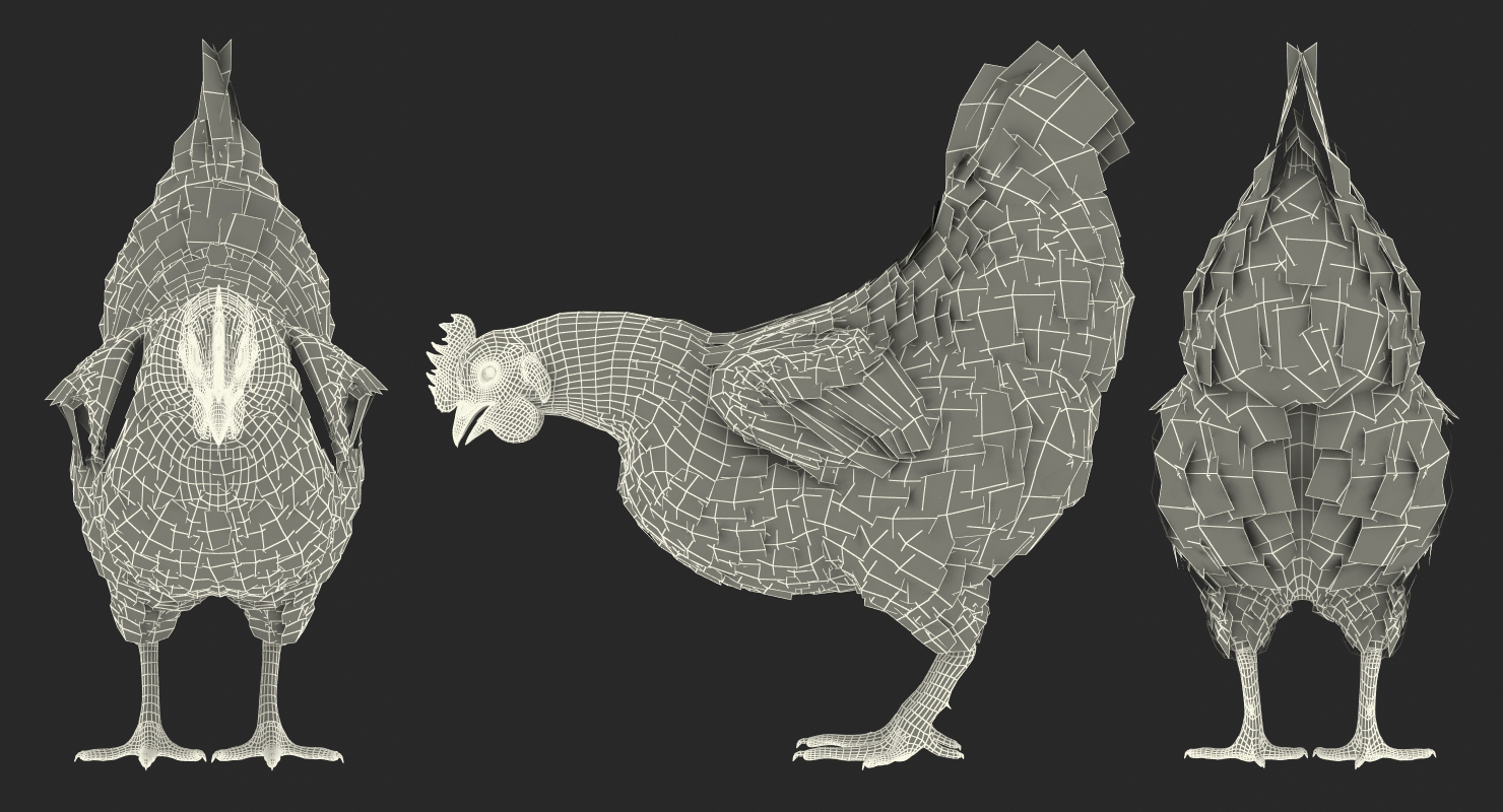 3D model Brown Chicken Eating