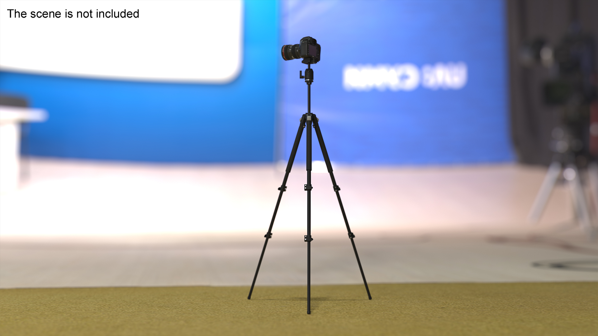 Canon Camera EOS 5D on Tripod 3D model