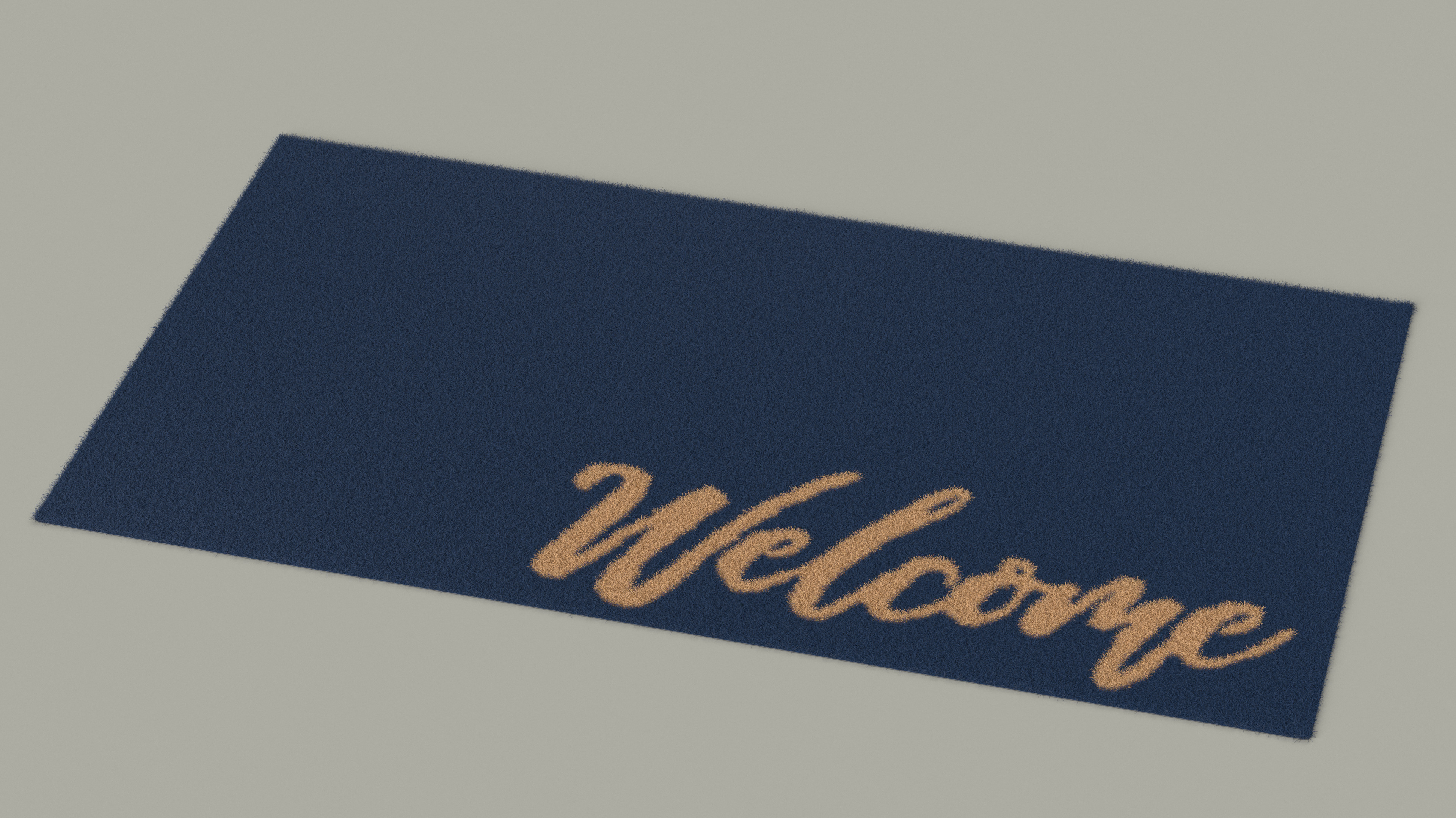 3D Dirt-Repellent Blue Door Mats Fur model