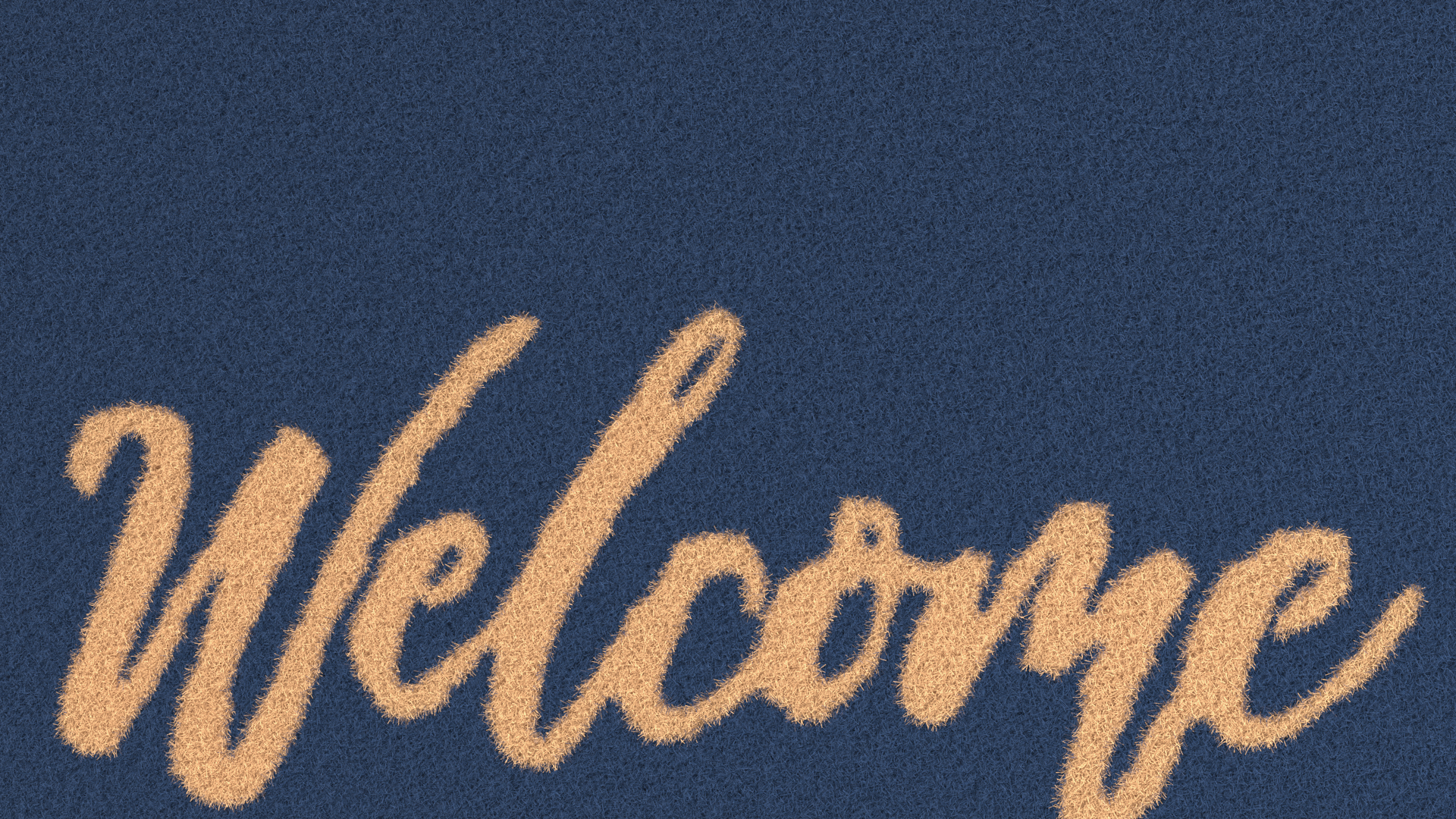 3D Dirt-Repellent Blue Door Mats Fur model