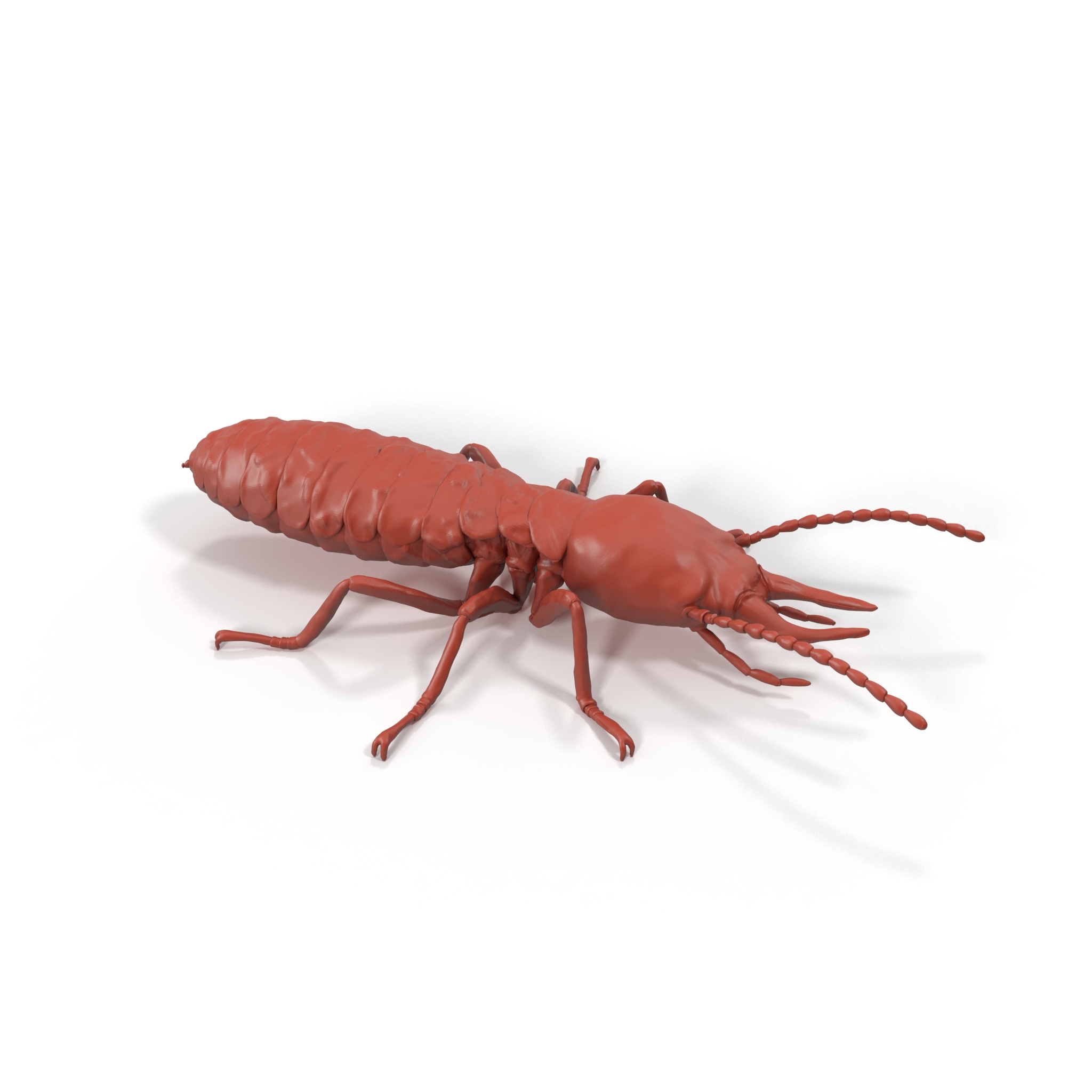 3D model Termite for 3D Print