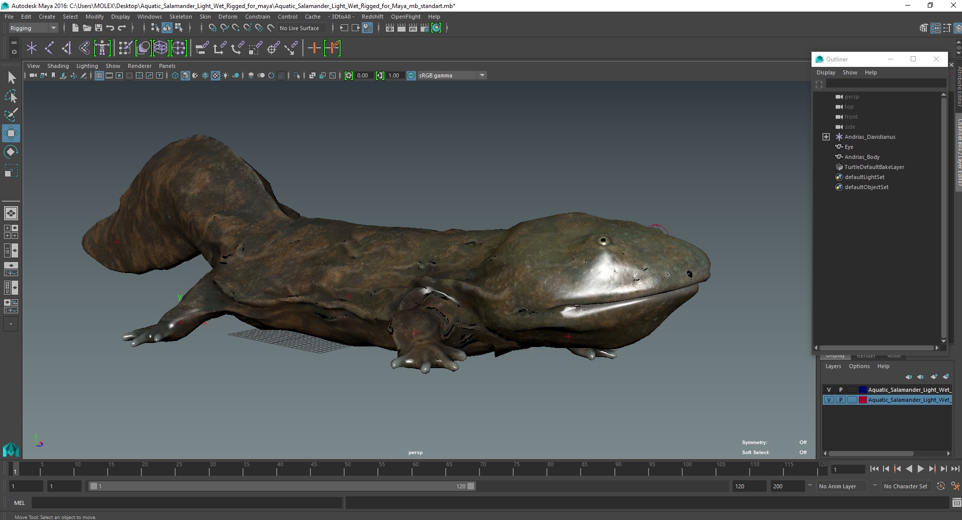 Aquatic Salamander Light Wet Rigged for Maya 3D model