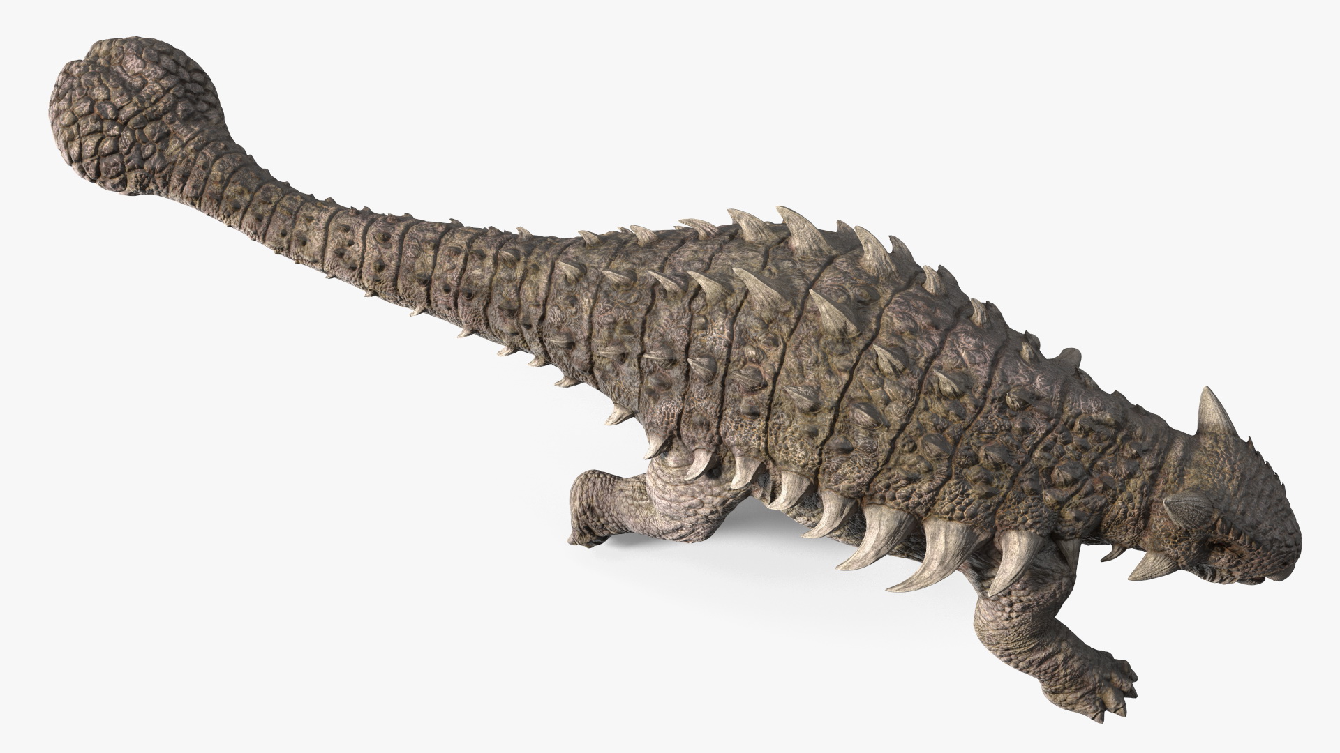 Ankylosaurus Deserted in Walking Pose 3D