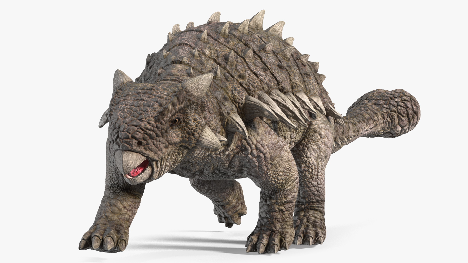 Ankylosaurus Deserted in Walking Pose 3D