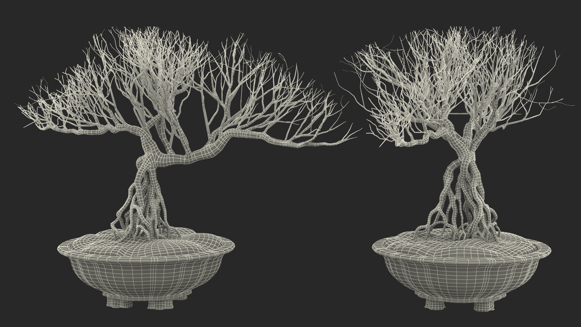 3D Bonsai Naked Tree in Pot Fur model