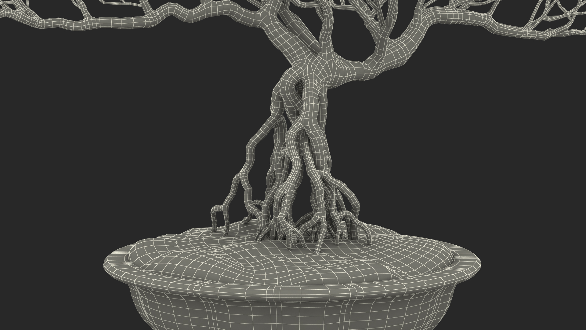 3D Bonsai Naked Tree in Pot Fur model