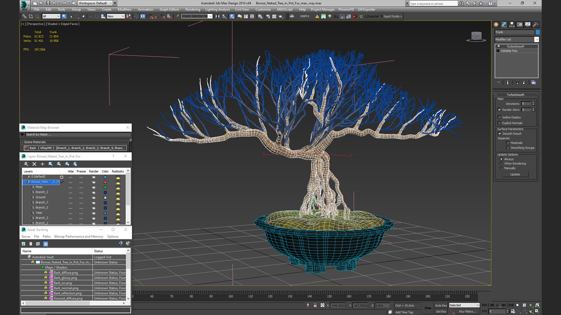 3D Bonsai Naked Tree in Pot Fur model