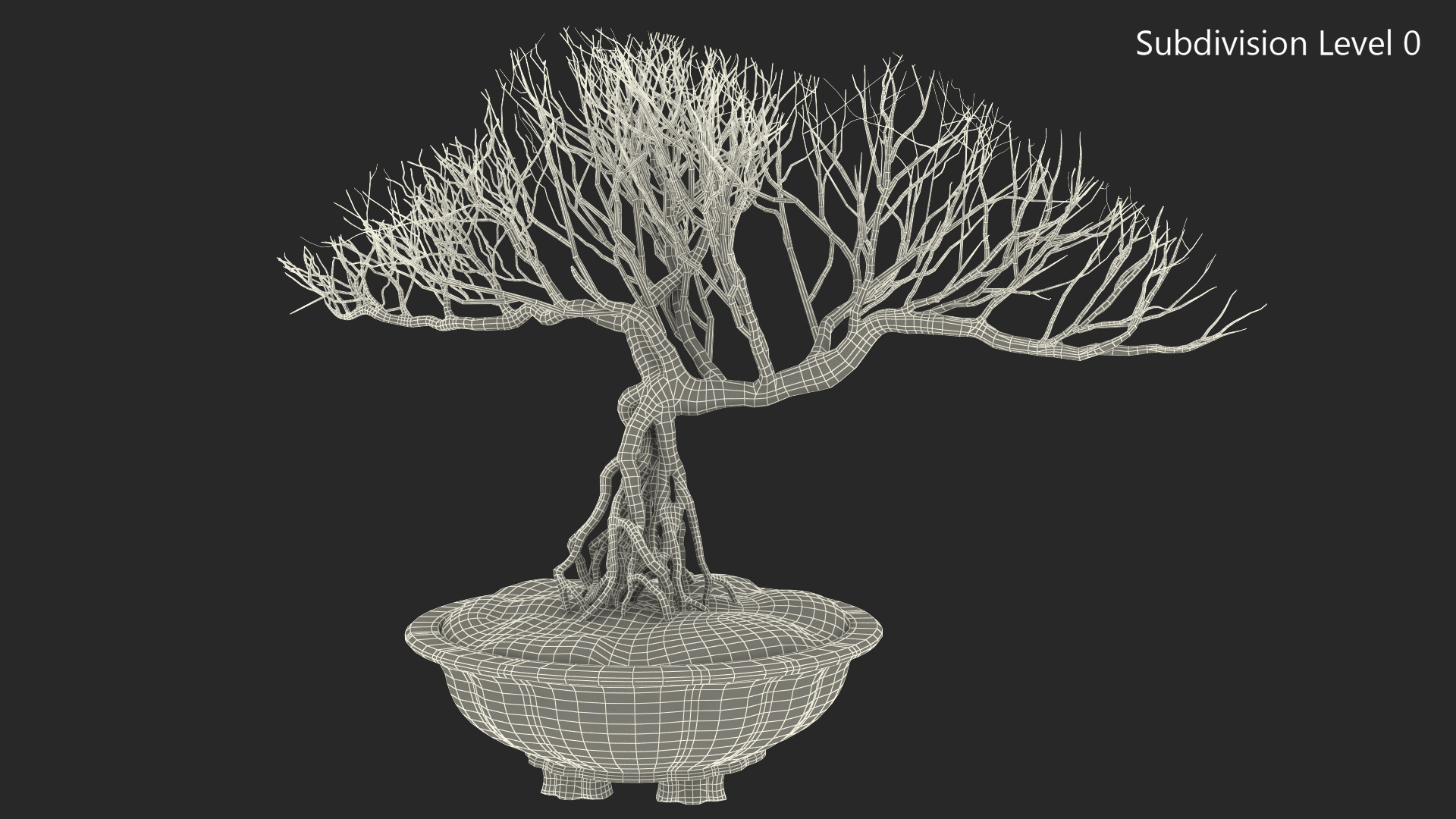 3D Bonsai Naked Tree in Pot Fur model
