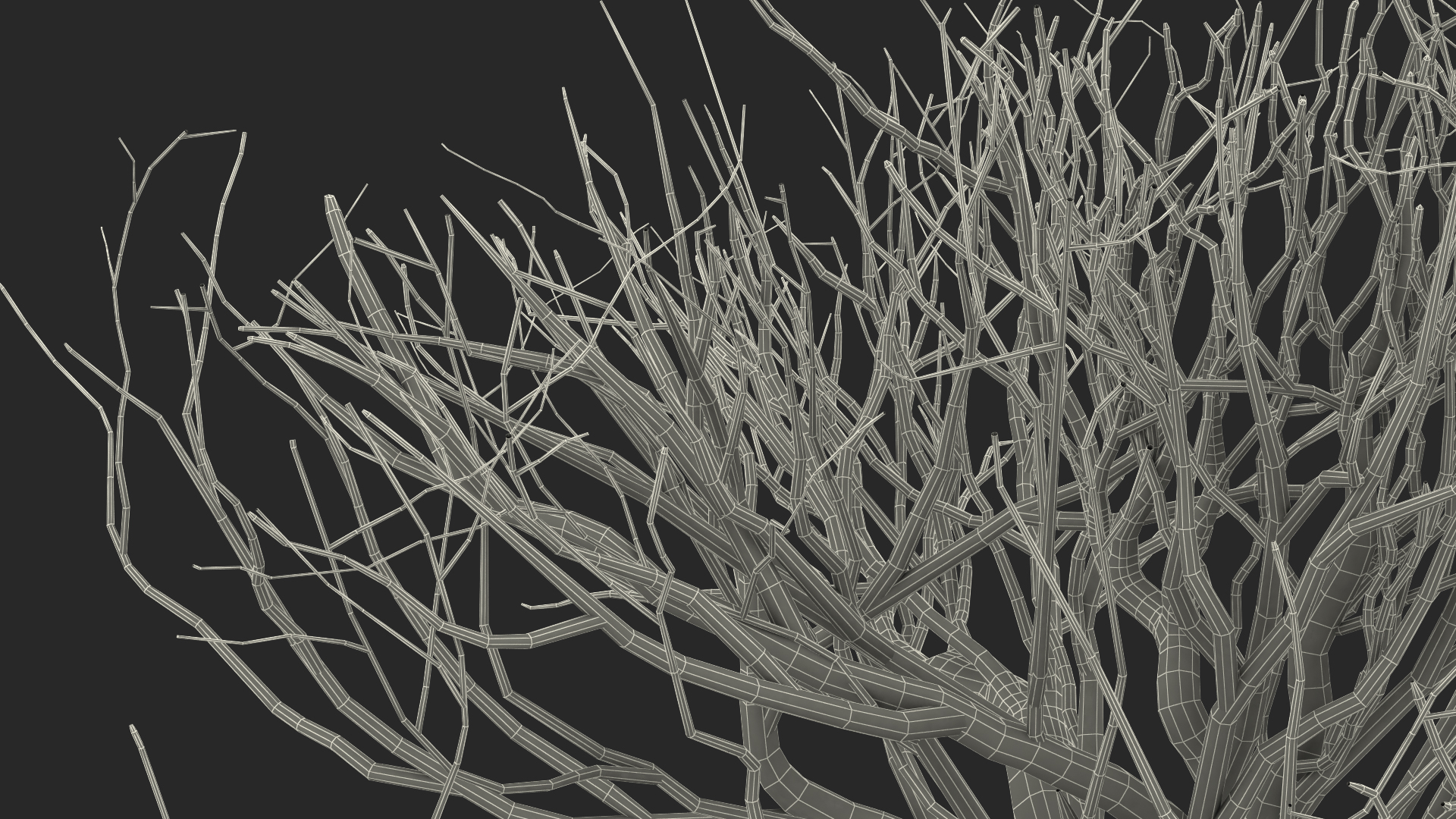 3D Bonsai Naked Tree in Pot Fur model