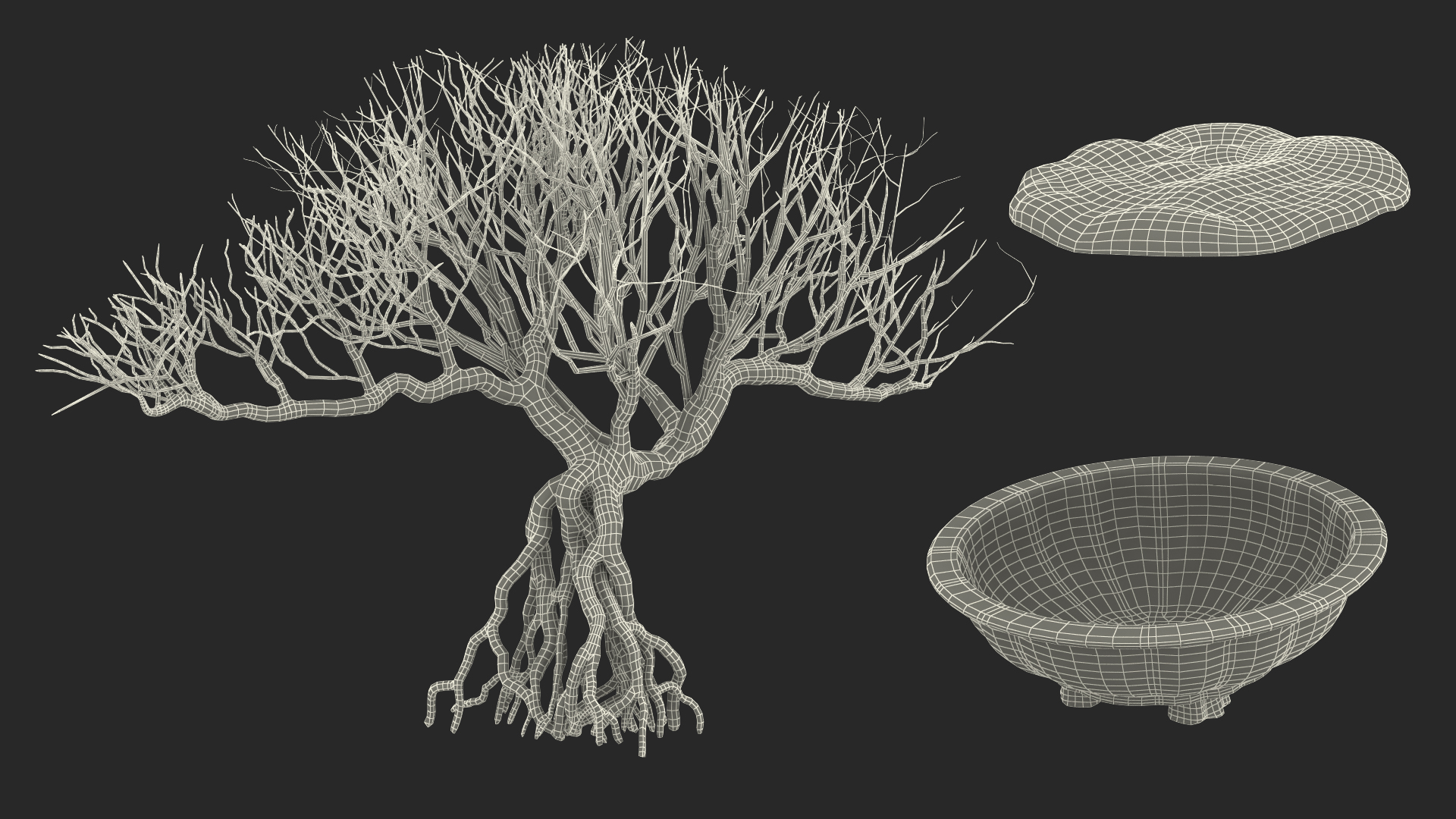 3D Bonsai Naked Tree in Pot Fur model