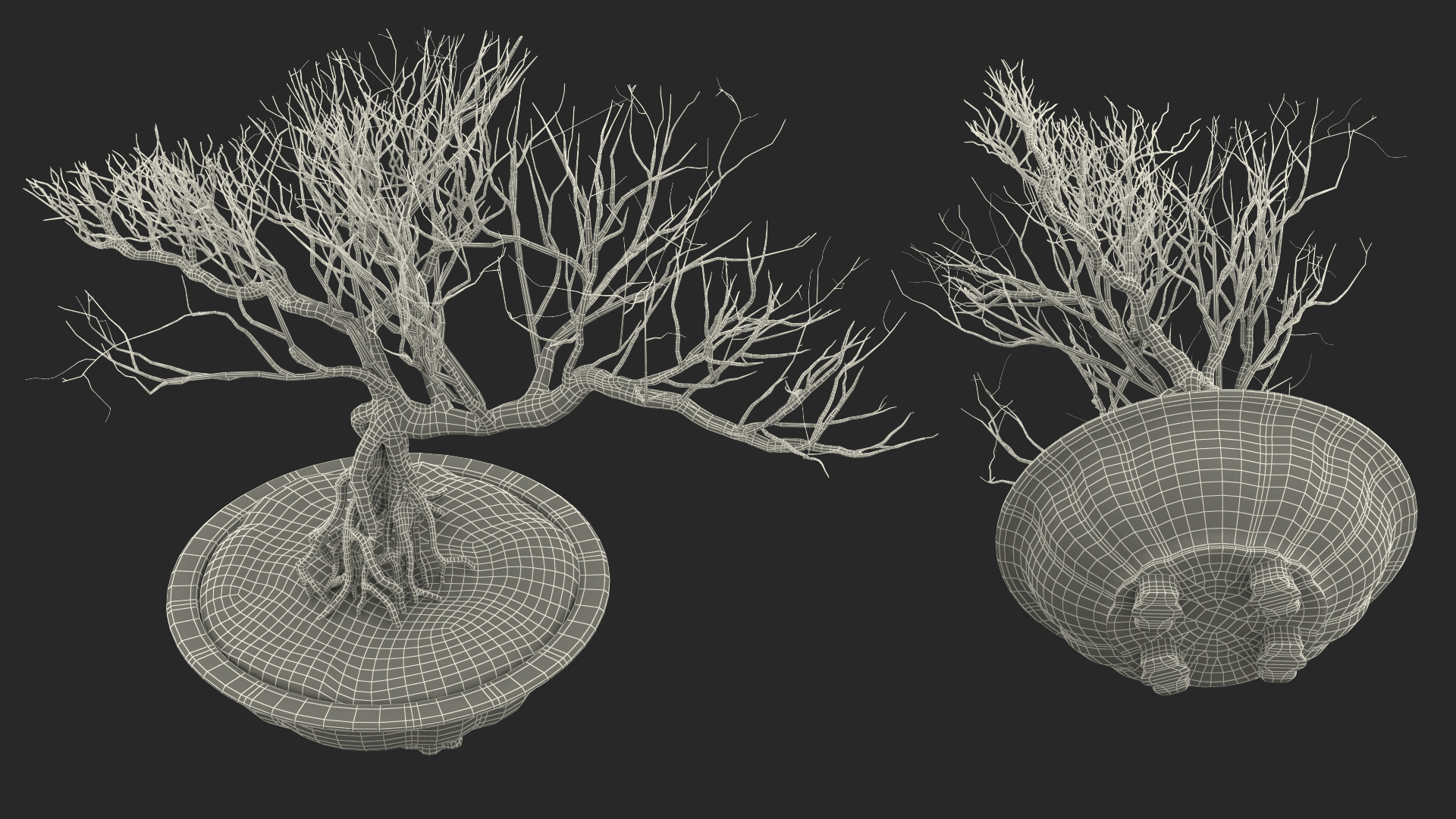 3D Bonsai Naked Tree in Pot Fur model