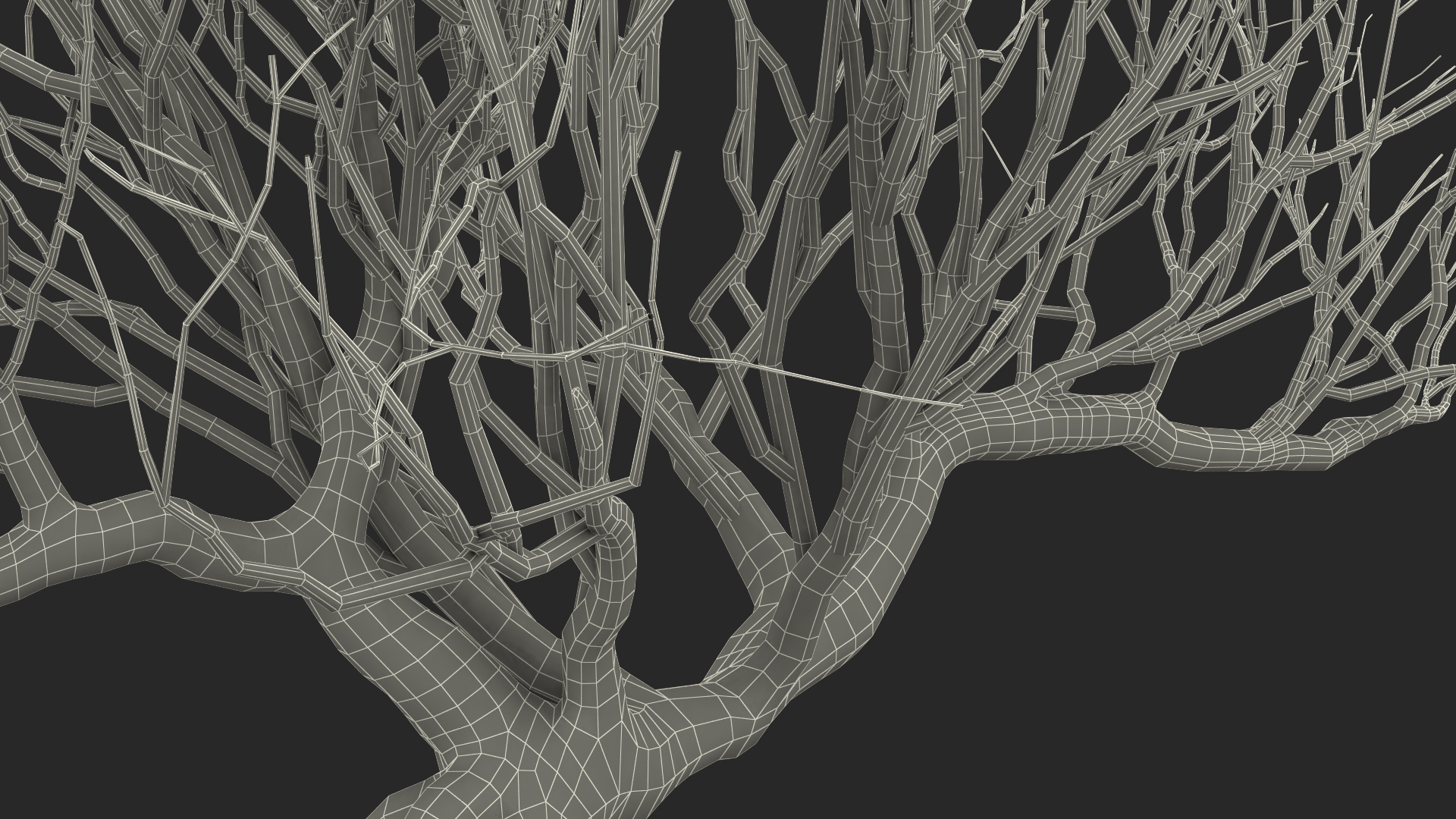 3D Bonsai Naked Tree in Pot Fur model