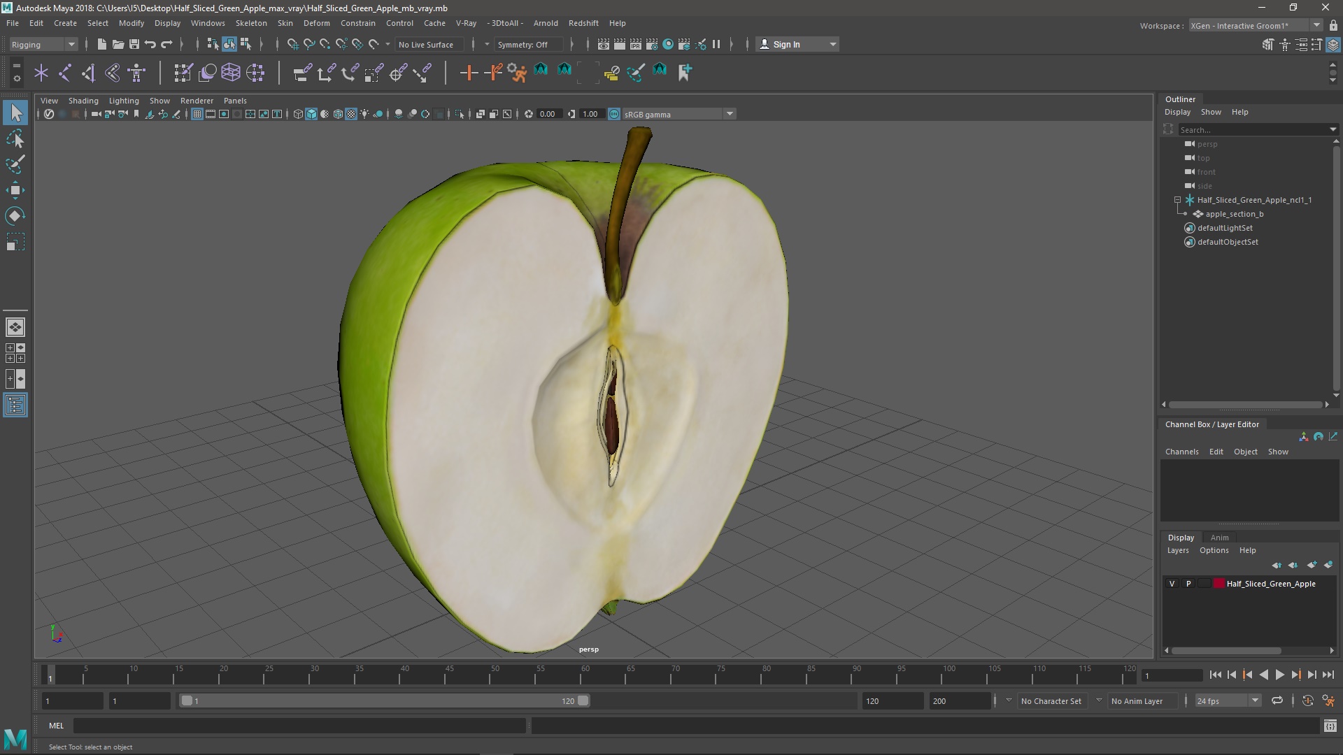 3D Half Sliced Green Apple model