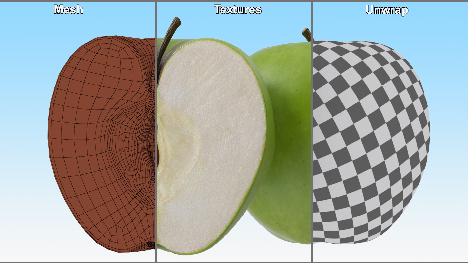 3D Half Sliced Green Apple model