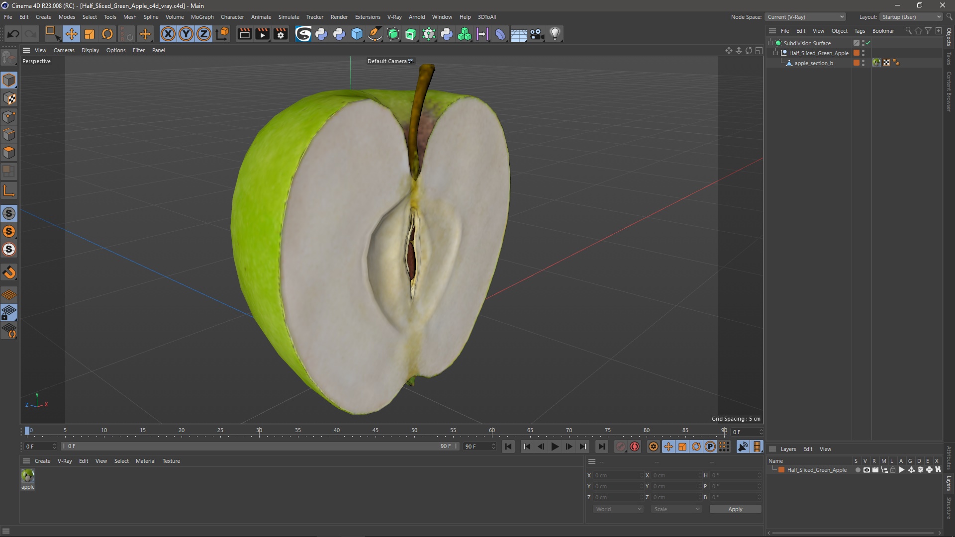 3D Half Sliced Green Apple model