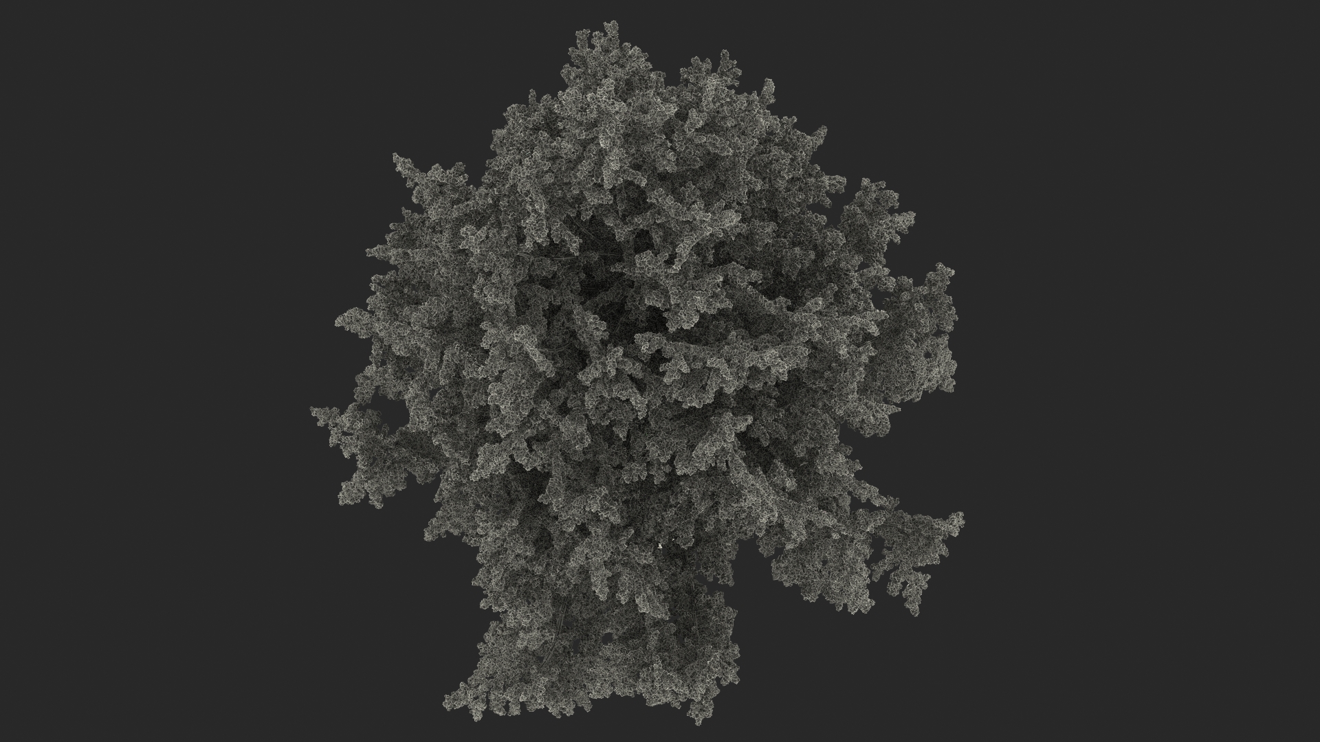 Tall Larch Tree Green with Cones 3D